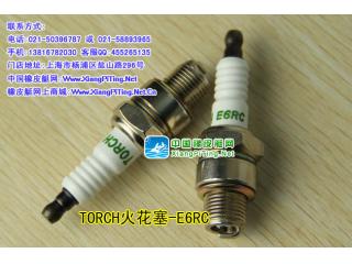 TORCH-E6RC